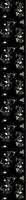 patterned-wallpaper-lumi-at-night