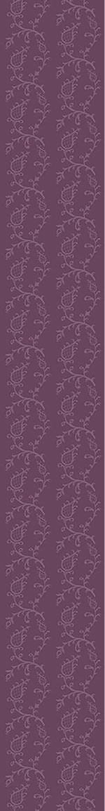 patterned-wallpaper-cinderella-aubergina