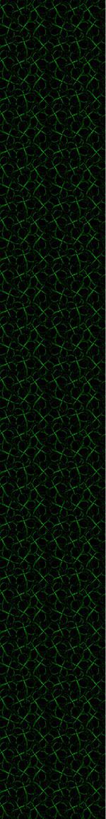 patterned-wallpaper-shamrock-silhouettes