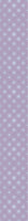 patterned-wallpaper-soft-beauties