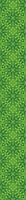 patterned-wallpaper-green-blossom-dream