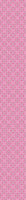 patterned-wallpaper-paradise-pink