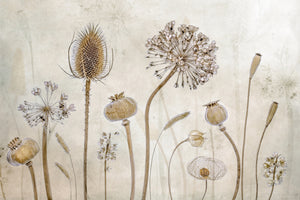photo-wallpaper-growing-old