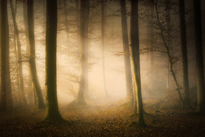 photo-wallpaper-november-whispers-x
