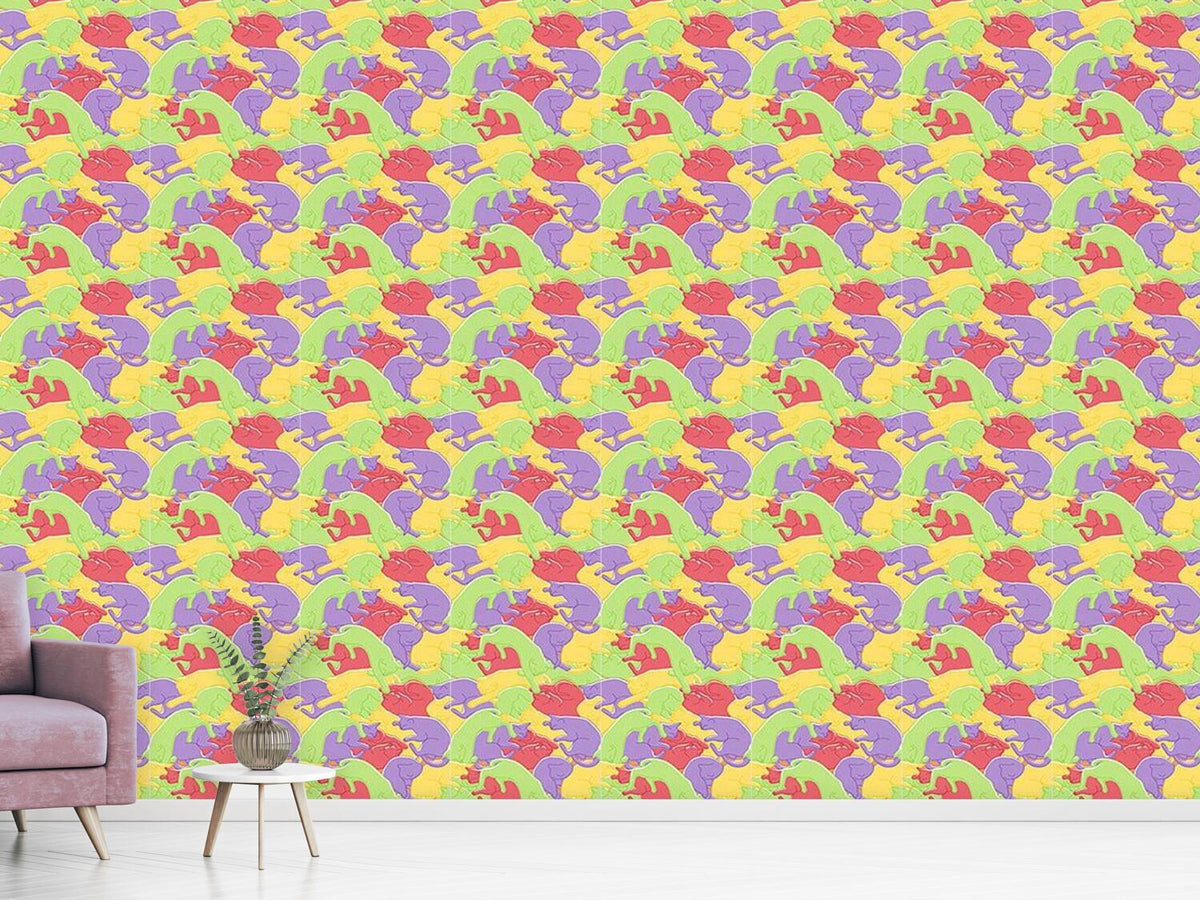 patterned-wallpaper-cuddle-cats