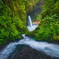 photo-wallpaper-rainbow-in-the-mist-x