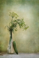 photo-wallpaper-dill-and-cucumber