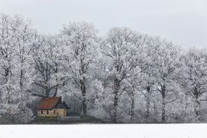 photo-wallpaper-chapel-and-rime-x