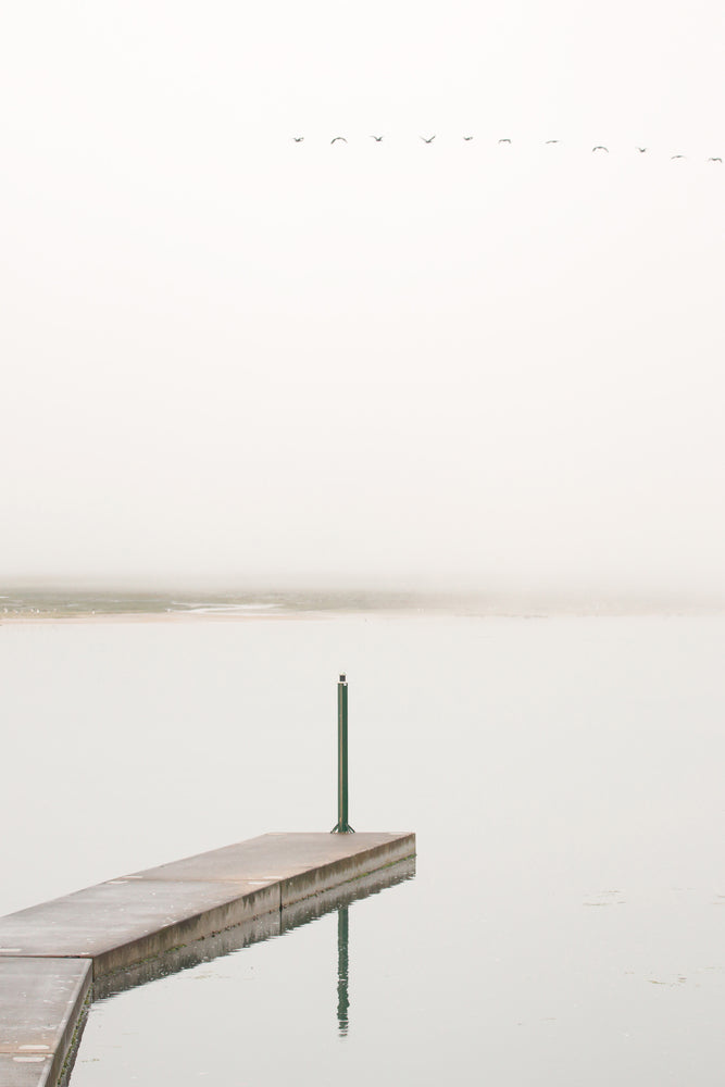 photo-wallpaper-semaphore-in-green