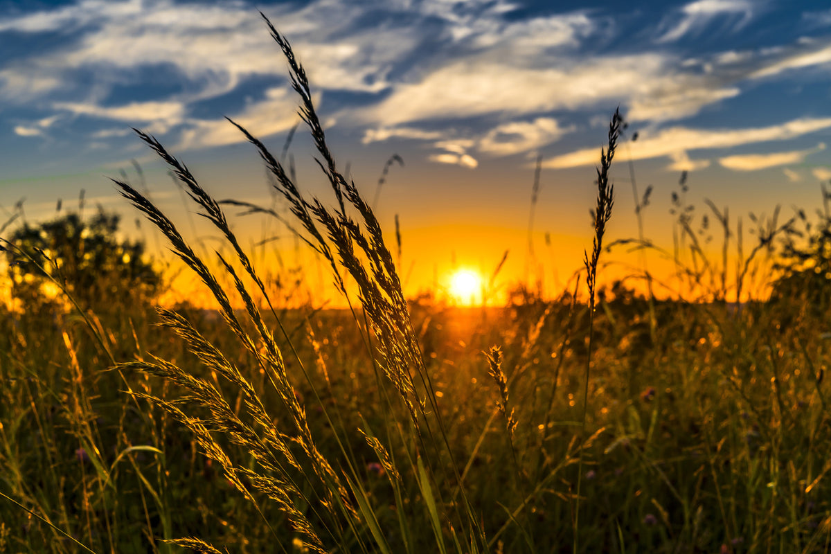 photo-wallpaper-the-sunset-on-the-field