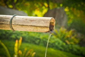 photo-wallpaper-the-bamboo-pipe