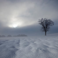 photo-wallpaper-winter-impression