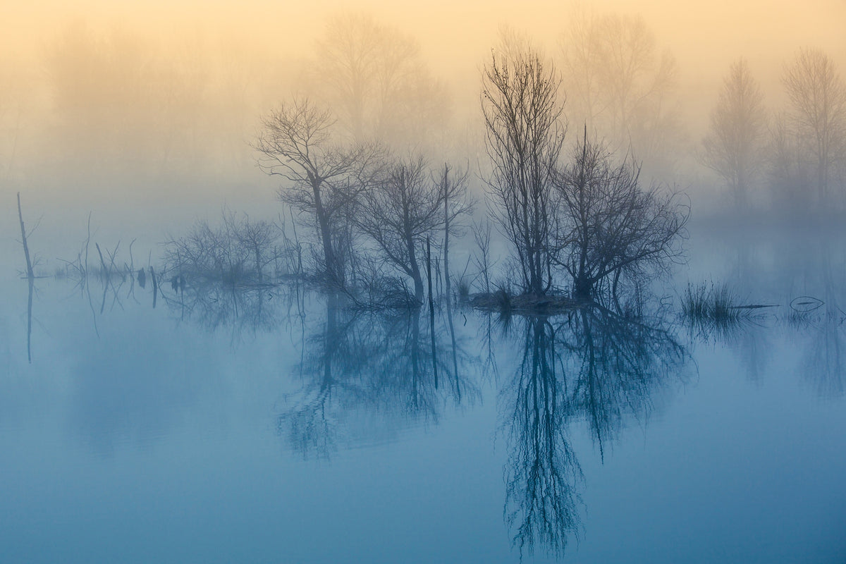 photo-wallpaper-morning-reflection-ii