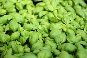 photo-wallpaper-all-basil