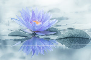 photo-wallpaper-reflection-xus