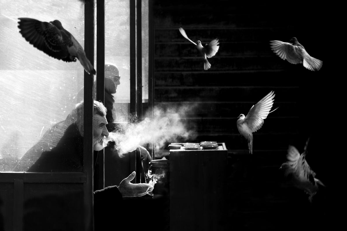 photo-wallpaper-the-man-of-pigeons