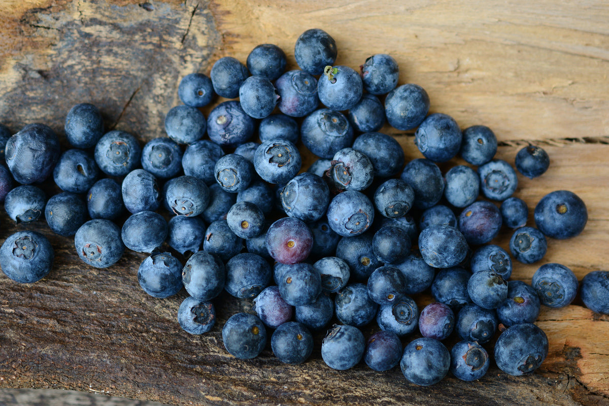 photo-wallpaper-fresh-blueberries