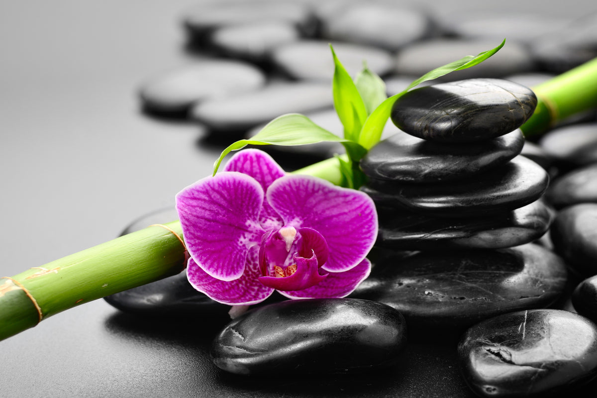 photo-wallpaper-feng-shui-orchid