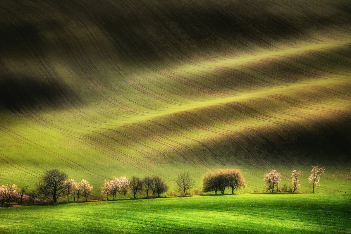 photo-wallpaper-moravian-fields-xhj