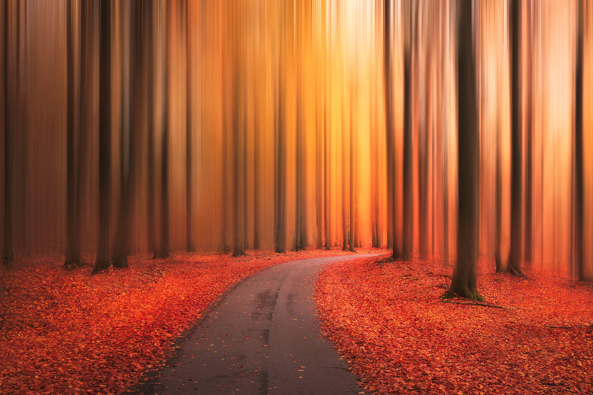 photo-wallpaper-path-to-unknown