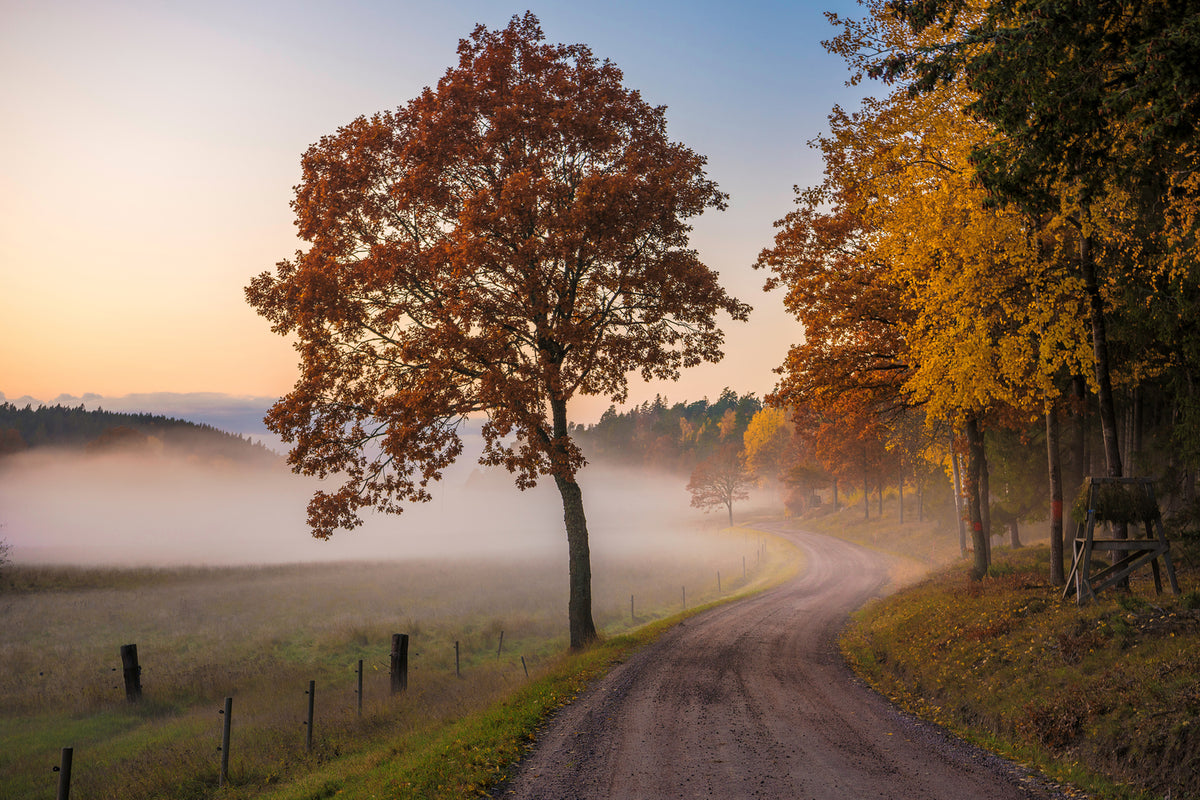 photo-wallpaper-countryside-vibes-x