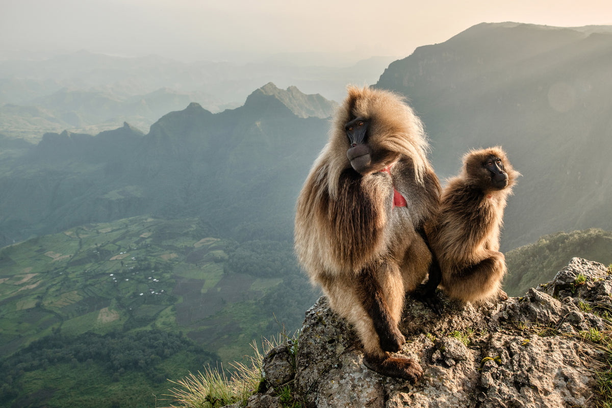 photo-wallpaper-couple-on-the-edge-x