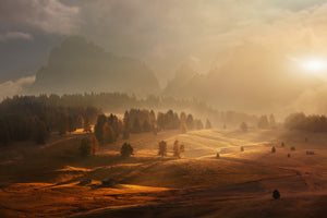 photo-wallpaper-morning-on-alpine-meadow-x