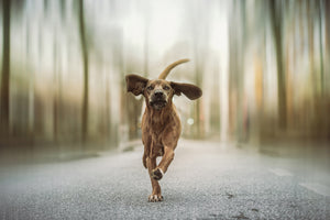 photo-wallpaper-dancing-in-the-streets