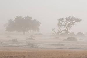 photo-wallpaper-desert-storm-x