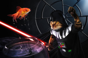 photo-wallpaper-darth-sushi