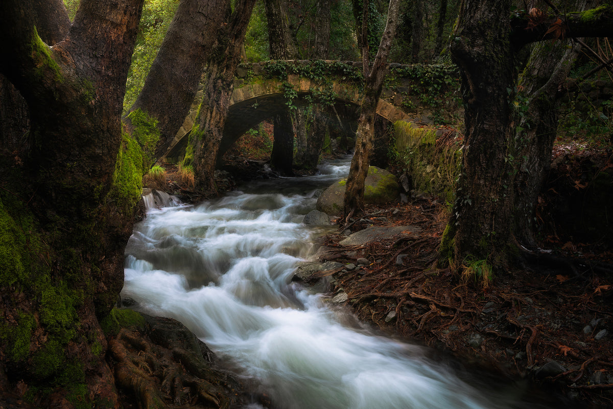 photo-wallpaper-medieval-light-x