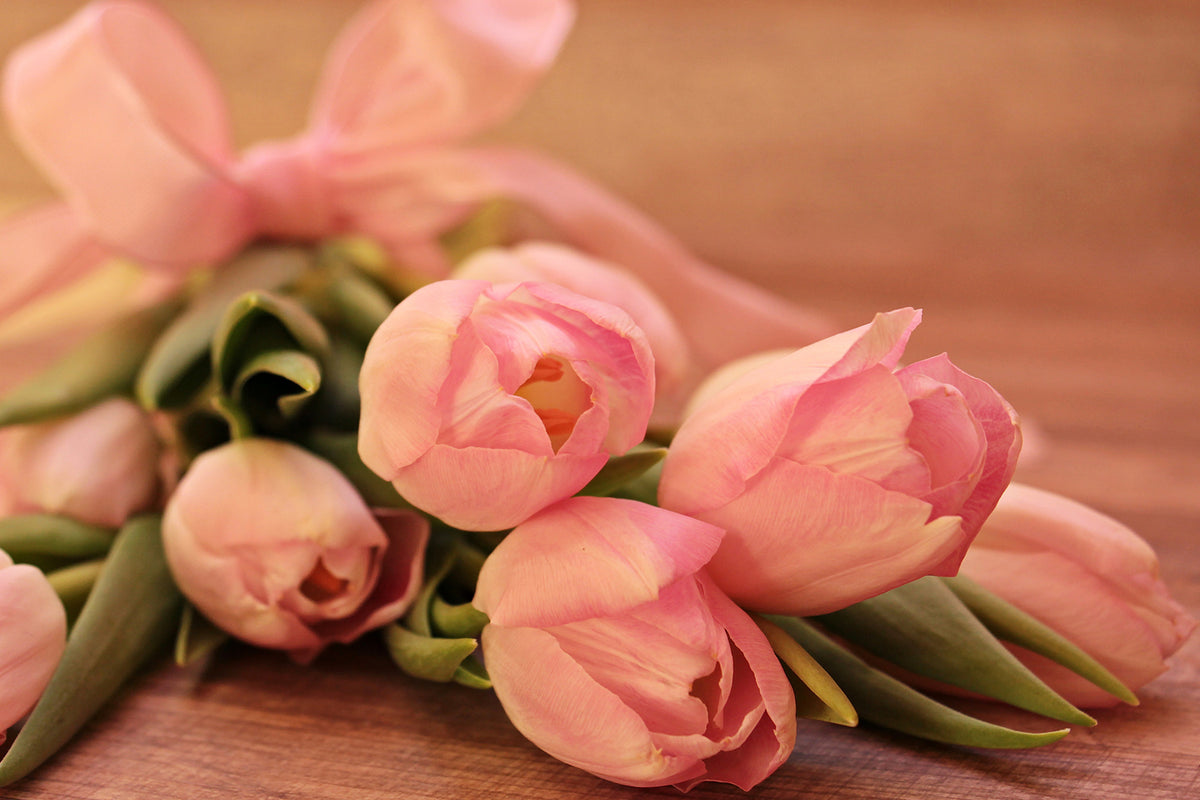 photo-wallpaper-romantic-tulip-bouquet