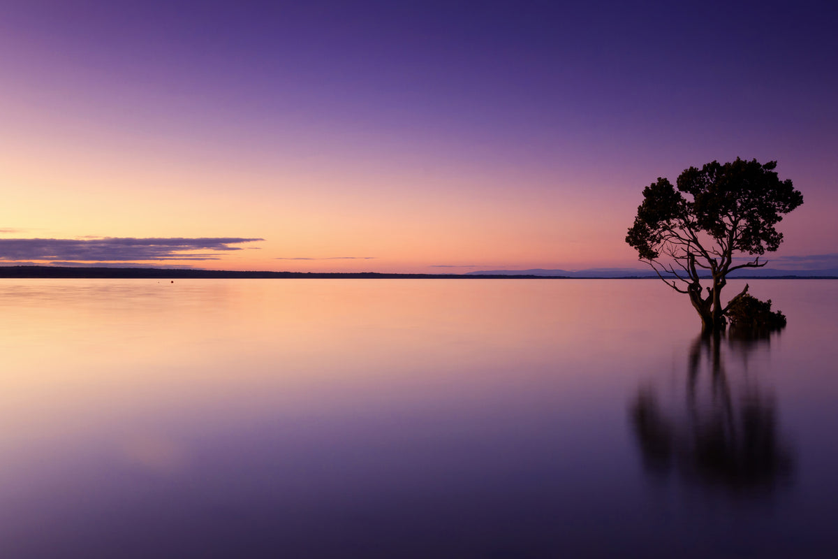 photo-wallpaper-sunset-on-the-tree-in-the-water