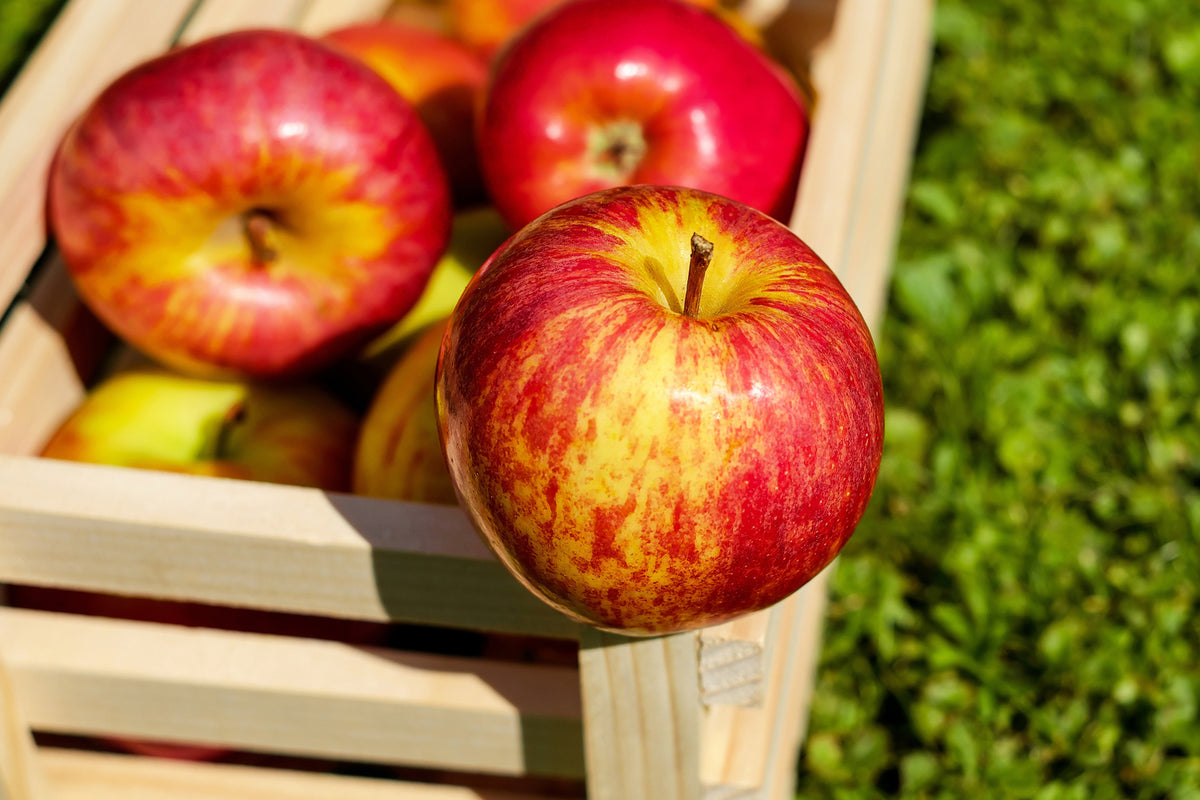 photo-wallpaper-box-of-apples