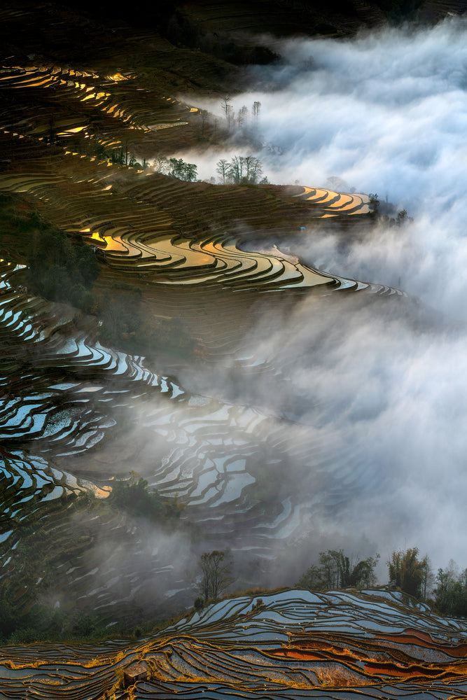 photo-wallpaper-colorful-rice-terraces