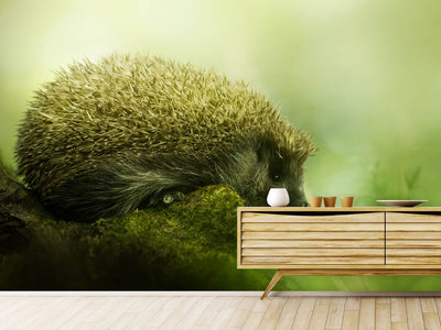 photo-wallpaper-hedgehog-x