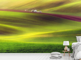 photo-wallpaper-golden-fields-x