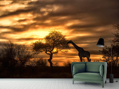 photo-wallpaper-african-dreams