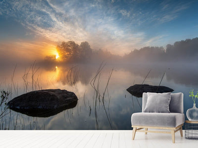 photo-wallpaper-morning-sun-x