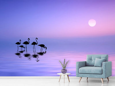 photo-wallpaper-morning-flamingo-x