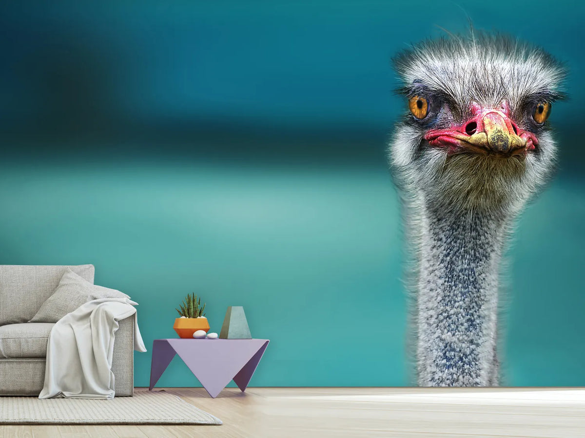 photo-wallpaper-blue-meets-ostrich