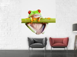 photo-wallpaper-frog-acrobatics