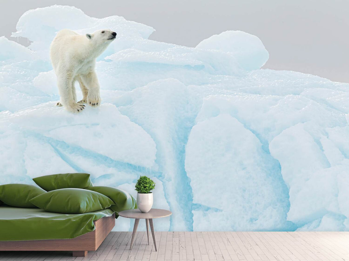 photo-wallpaper-polar-bear-on-iceberg-x