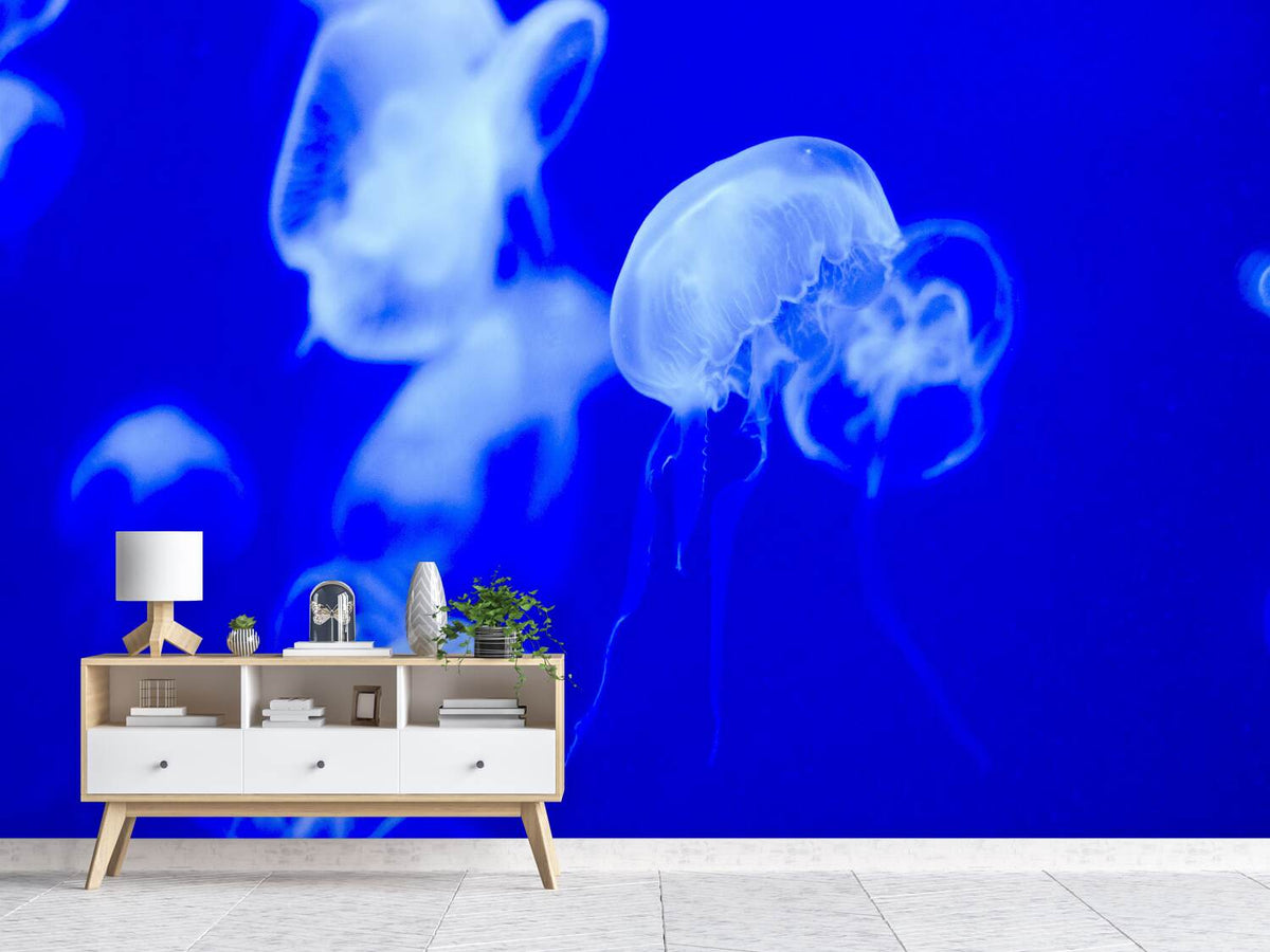 photo-wallpaper-floating-jellyfish