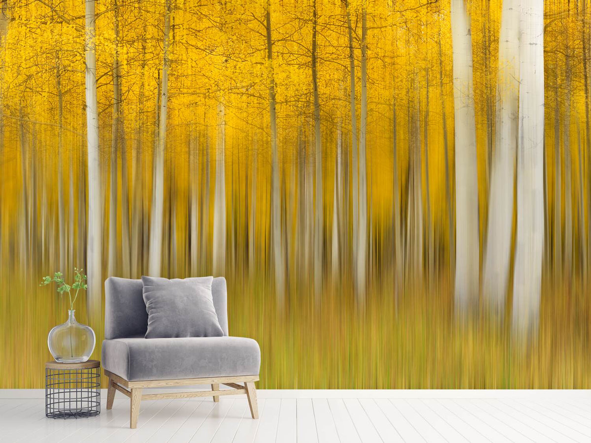 photo-wallpaper-autumn-dream-ii