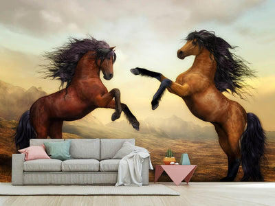 photo-wallpaper-two-wild-horses