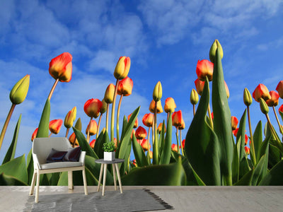 photo-wallpaper-tulips-tower-to-the-sky