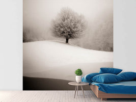 photo-wallpaper-winter-degradee