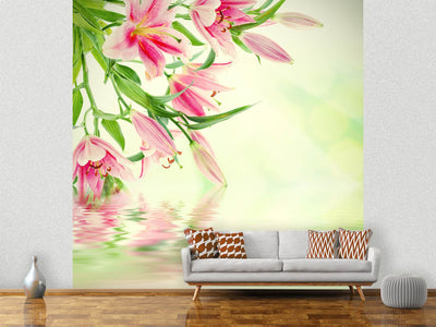 photo-wallpaper-lilies-on-water