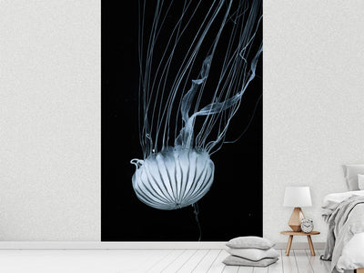 photo-wallpaper-beware-jellyfish